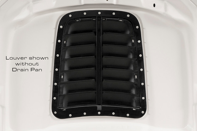 Cervini's Mustang GT500 Style Hood (2013-2014) - Image Cervini's Mustang GT500 Style Hood (2013-2014) - Image