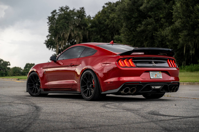 Steeda GT500 MagneRide Dual Rate Ultimate Handling Lowering Springs (2020-2023) - Image