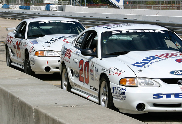 Steeda Mustang Windshield Decal - White - Image