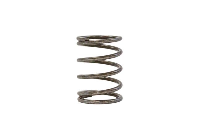 Steeda Bronco Clutch Spring Kit (2021-2025) - Image