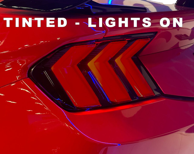 Anchor Room Mustang Tail Light Lens Vinyl Tint - 20% Tint (2024-2026) - Image