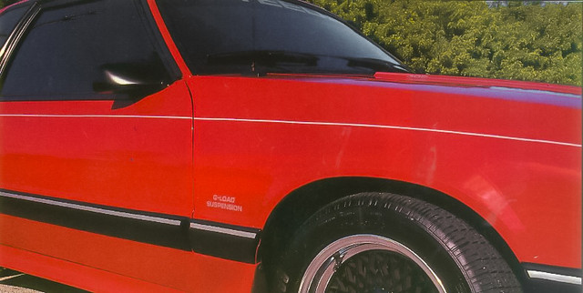 Steeda Premium G-Load Suspension Vinyl Decal - Image Steeda Premium G-Load Suspension Vinyl Decal - Image