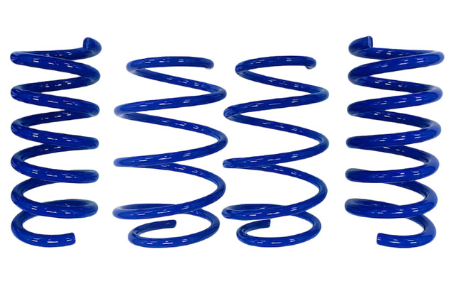 Steeda Mustang GT Magneride Drag Springs - Linear (2015-2026) - Image