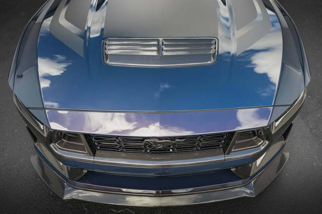 DX Carbon Mustang Dark Horse Carbon Fiber Strap (2024+) - Image