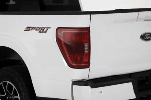 GTS F-150 Taillight Cover - 2 Piece - Carbon Fiber Look (2019-2023) - Image