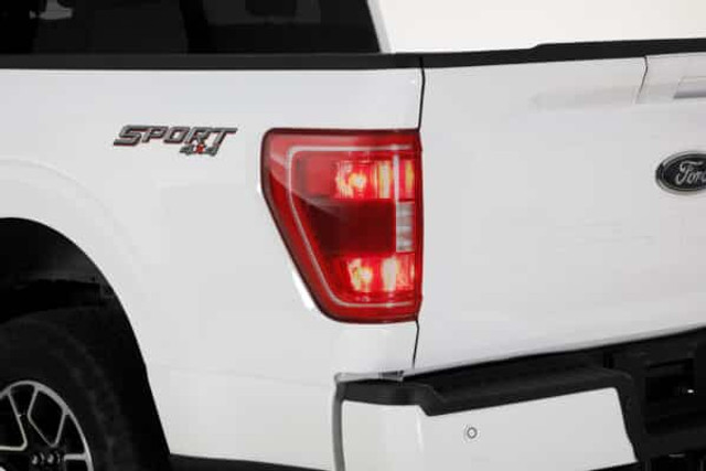 GTS F-150 Taillight Cover - 2 Piece - Carbon Fiber Look (2019-2023) - Image