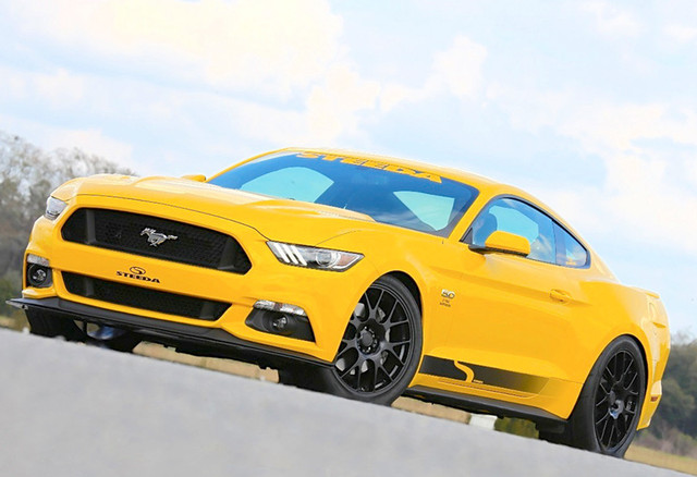 Steeda Mustang Sidewinder Decal - Silver (2024-2026) - Image
