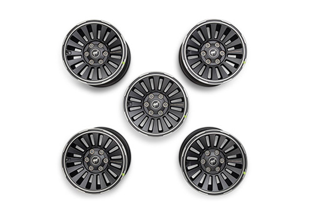 Ford Performance Bronco Overlanding 17x8.5 Wheel Kit - Magnetic Gray (2021-2024) - Image Ford Performance Bronco Overlanding 17x8.5 Wheel Kit - Magnetic Gray (2021-2024) - Image