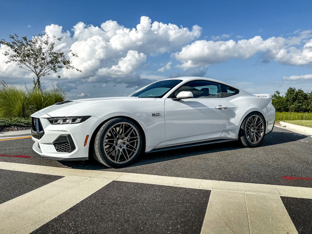 Steeda Mustang Sport Lowering Springs - Progressive (2015-2026) - Image Steeda Mustang Sport Lowering Springs - Progressive (2015-2026) - Image