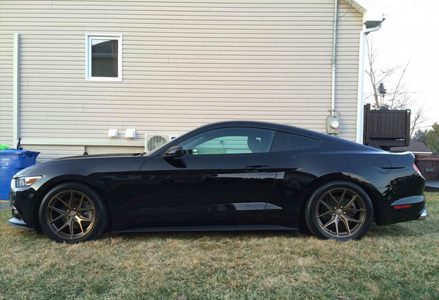 Steeda Mustang GT/V6 Ultralite Lowering Springs - Linear (2015-2023) - Image