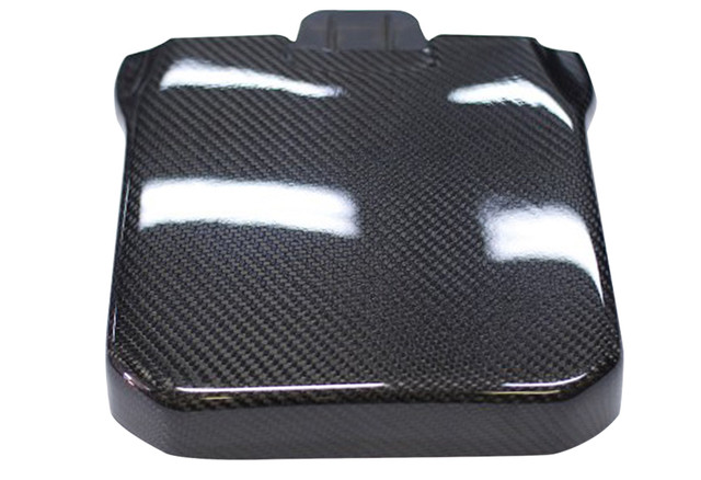 California Pony Cars Focus Carbon Fiber Battery Cover (2012-2018 All) - Image