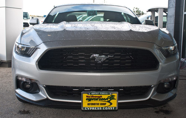 Sto N Sho Mustang 2.3L/GT/V6 License Plate Bracket (2015-2017) - Image Sto N Sho Mustang 2.3L/GT/V6 License Plate Bracket (2015-2017) - Image