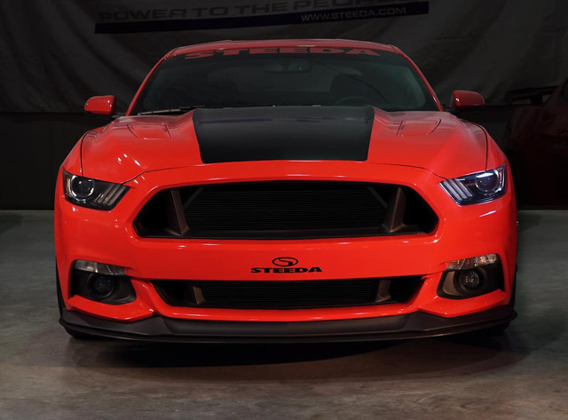 Steeda S550 Mustang Upper Grille Delete (2015-2017) - Image