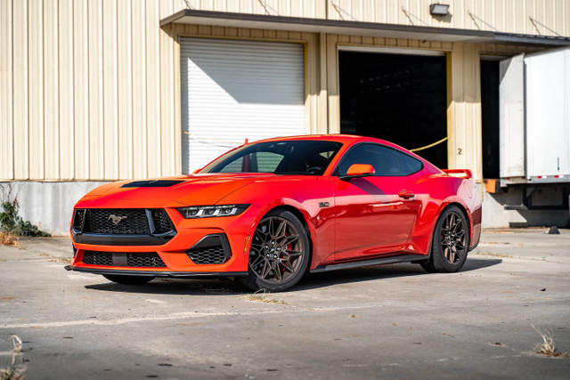 Steeda Mustang MagneRide Sport Progressive Lowering Springs (2015-2026) - Image Steeda Mustang MagneRide Sport Progressive Lowering Springs (2015-2026) - Image