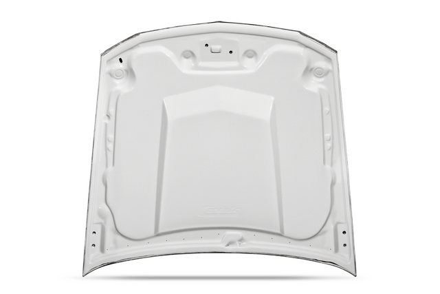Cervini's Mustang C-Series Hood (2005-2009) - Image