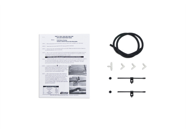 Cervini's Mustang Concept Ram Air Hood (2010-2012) - Image
