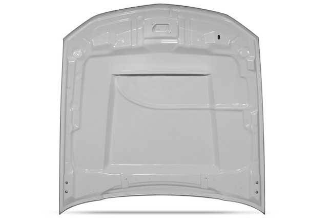 Cervini's Mustang Stalker Hood (2010-2012) - Image