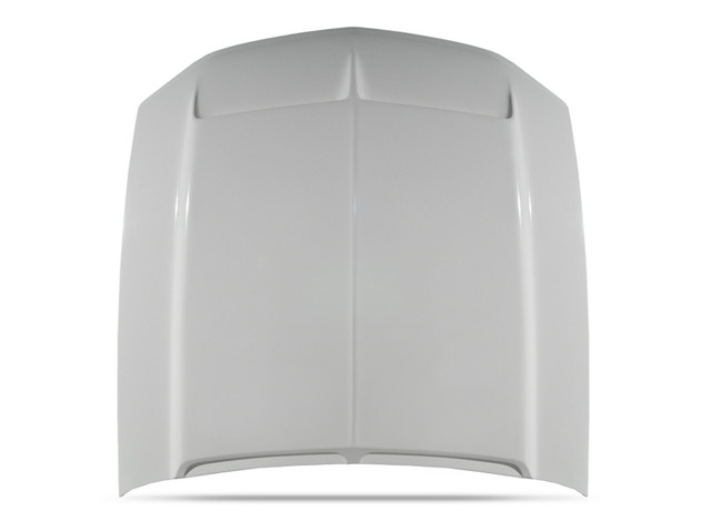 Cervini's Mustang Type 4 Ram Air Hood (2010-2012) - Image