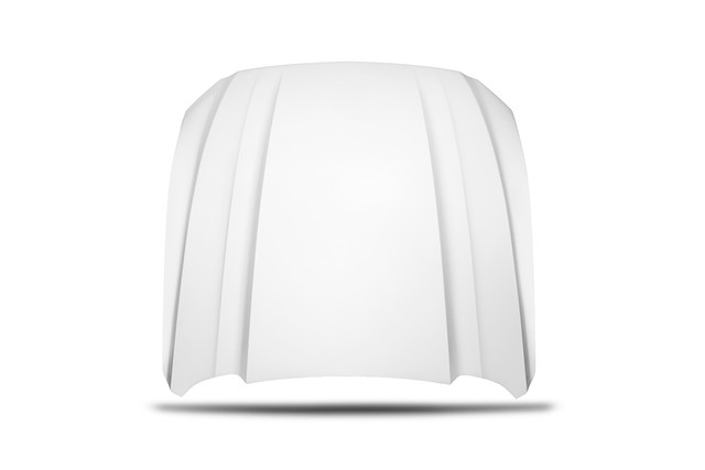 Cervini's Mustang Cobra R Hood (2015-2017) - Image