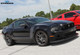 Steeda BOSS 302 Mustang Performance Lowering Springs (2012-2013)