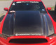 Anderson Composites Mustang Type-CJ Carbon Fiber Cowl Hood (2013-2014)
