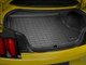 WeatherTech Mustang Black Cargo Liner with Bumper Protector - w/o Shaker Audio with Subwoofer (2015-2023)