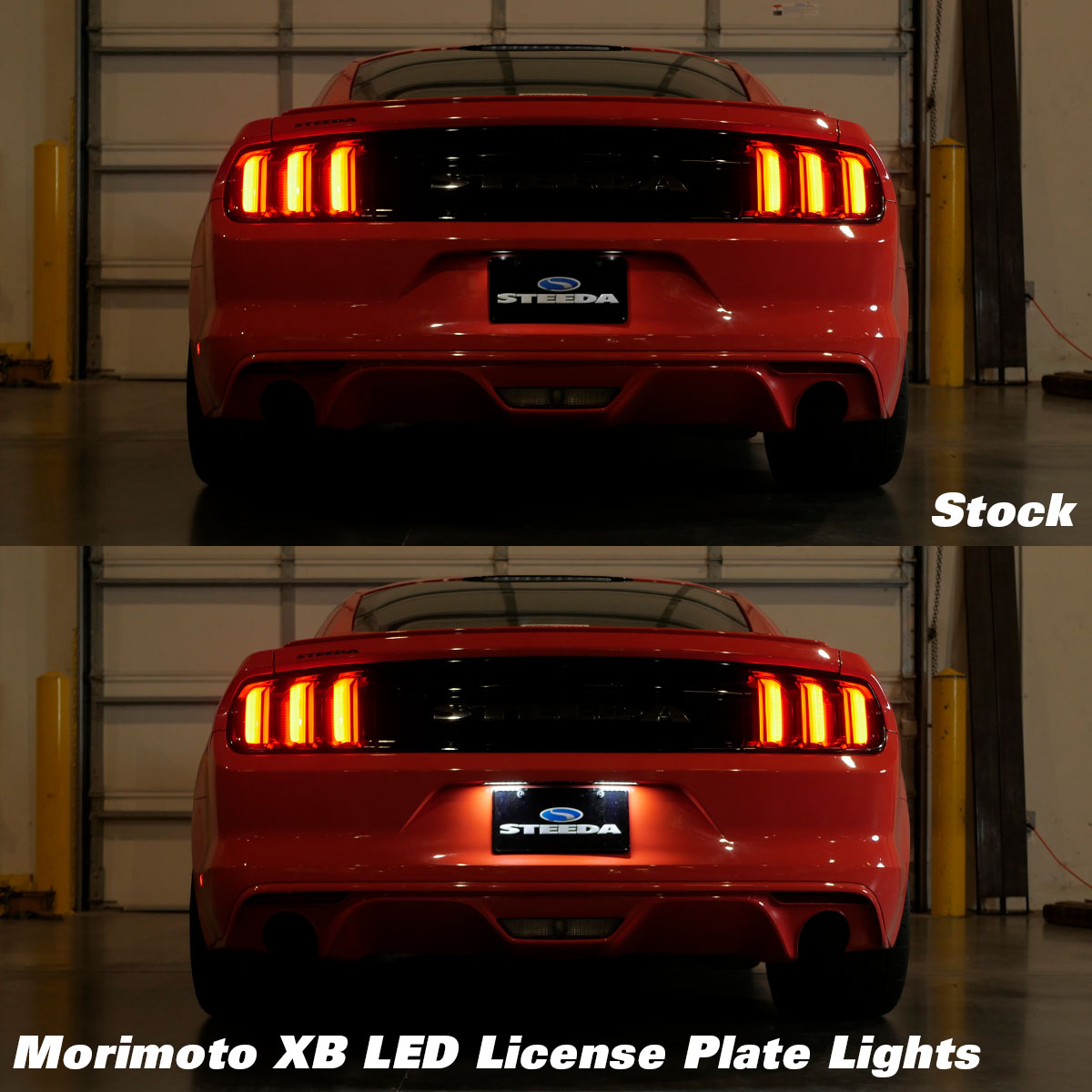 Morimoto LF7910 Mustang XB LED License Plate Lights (15-23)