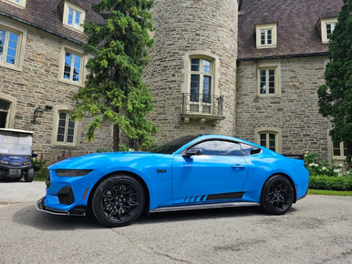 wataruターニングポイント ムスタングES TP Mustang ES wataruターニングポイント ムスタングES TP Mustang ES Mustang ES