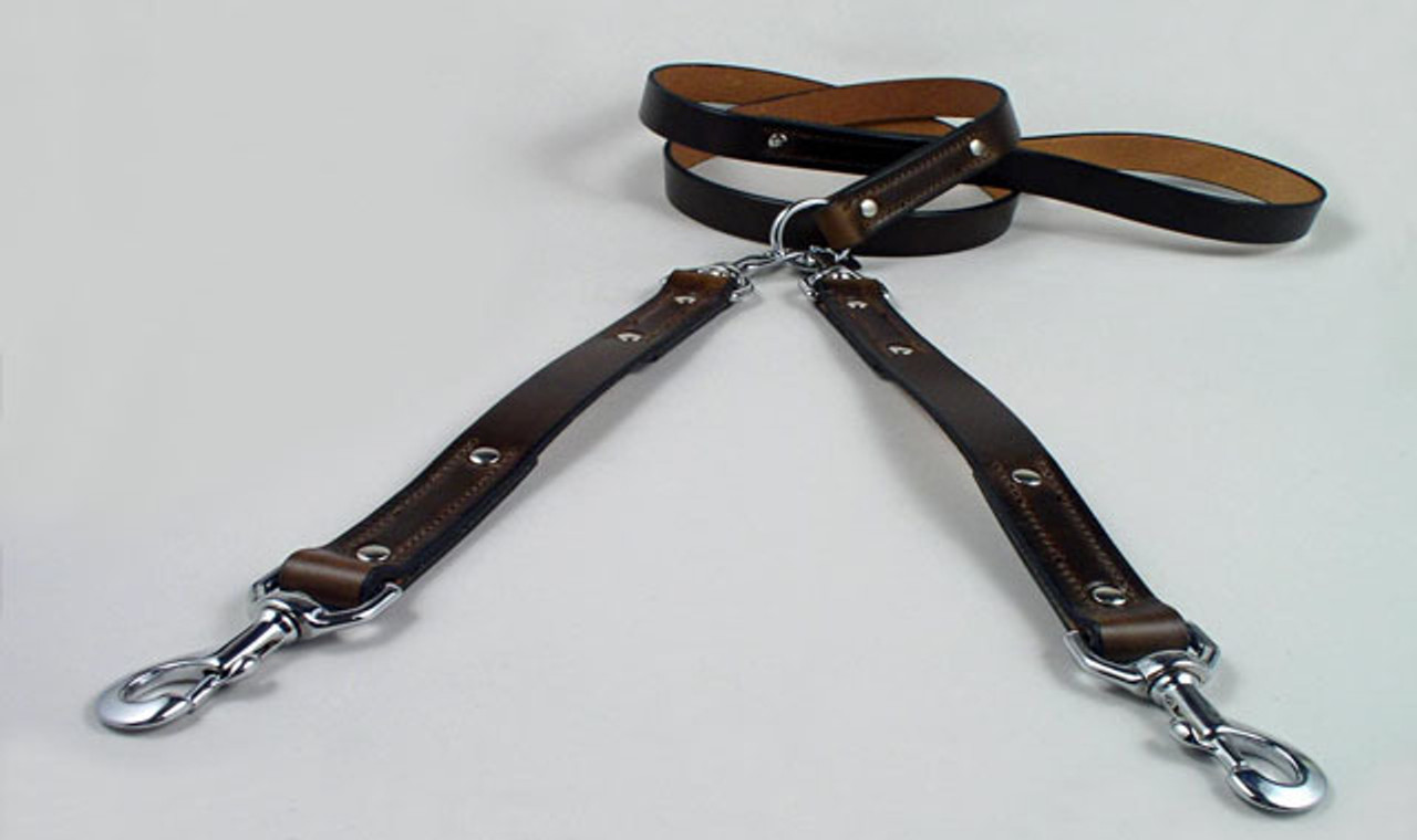 Specialty Dog Leashes