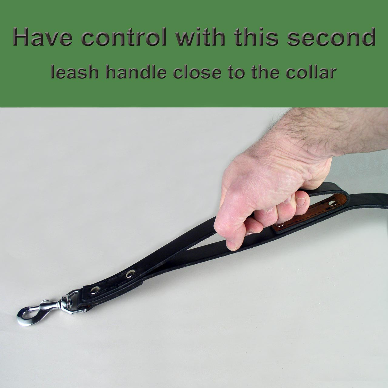 Double Clip Leash