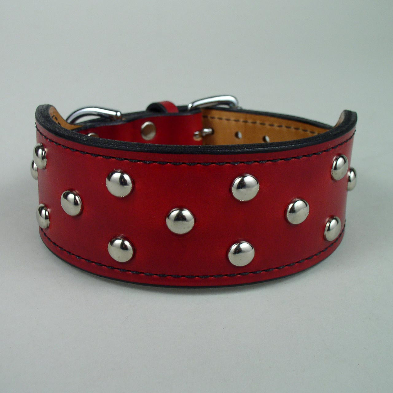 rugged dog collar