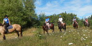 Horseback Riding - Horse Riding