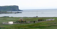 Viking Outfit - L'Anse aux Meadows