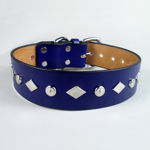Blue leather studded dog collar.