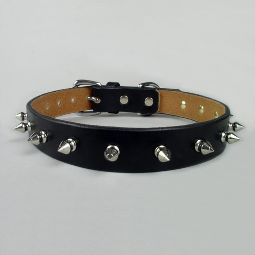 Standard Spiked Dog Collar 1 1/4" wide