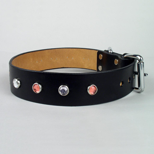 Jewelry dog collar made of leather decorated with colorful acrylic studs.