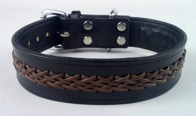 Designer Braided Dog Collars