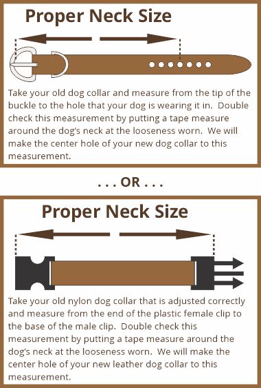 proper-neck-size-measurement-instructions.jpg