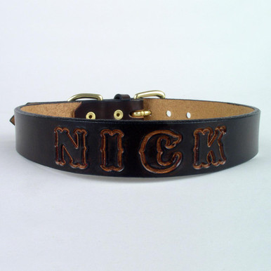 belt buckle dog collar