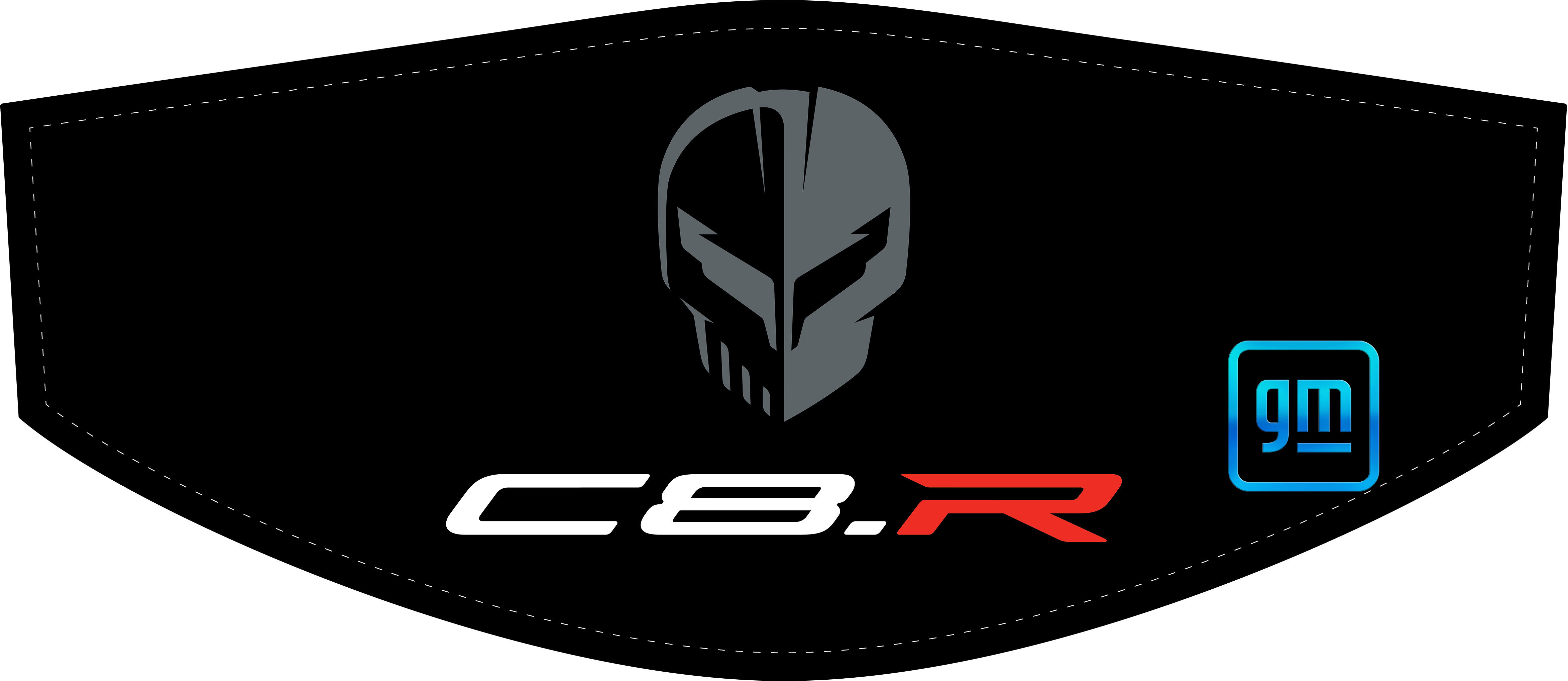 Trunk cover, Corvette, GM licensed, C8, Z06, Stingray, engine bay detailing, car shows, C8RallyDriver.com, hatch support, deck support, carbon fiber cover, strut cover, free shipping