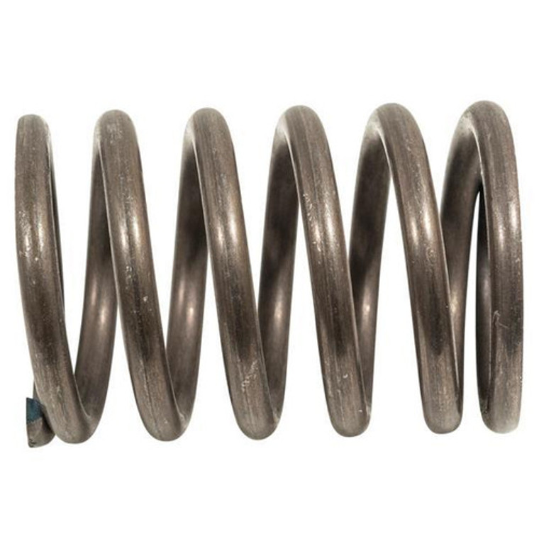 Valve Spring, Cc Ex40 2015-Up