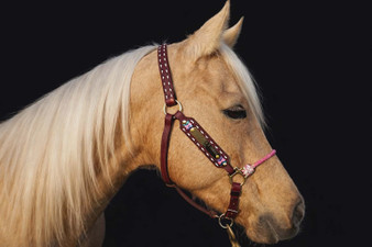 Simple Buckstitch lariat Nose, adjustable leather chin Name Plate Halter***