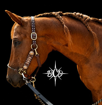 Simple Buckstitch lariat Nose, concho adjustable leather chin Name Halter***