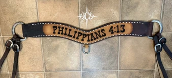 Buckstitch Tripping Collar with Engraving