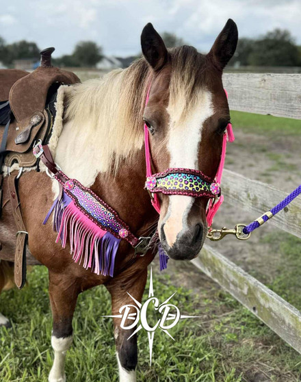 Neon Cheetah PONY/Mini  Noseband Neon Cheetah PONY/Mini  Noseband