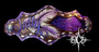 Custom Name feather tooled noseband***