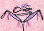 Violet Aztec Tack Set