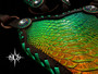 Emerald City Tack Set
