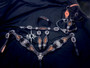 "Black Beauty" Tack Set