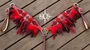 "Wild Romance" tack set